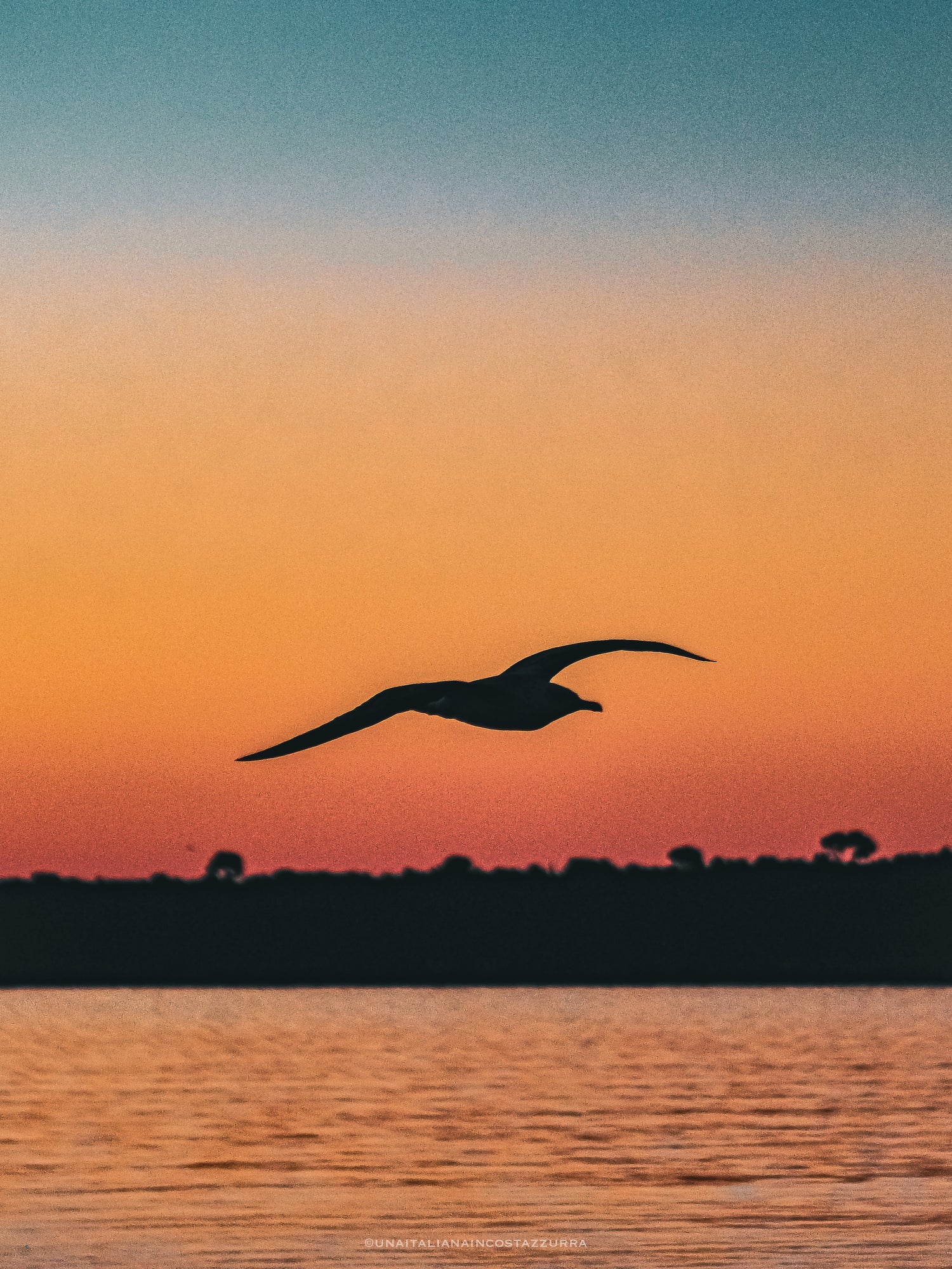 Collection Grand Format