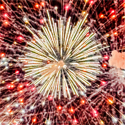 Main image Roi soleil