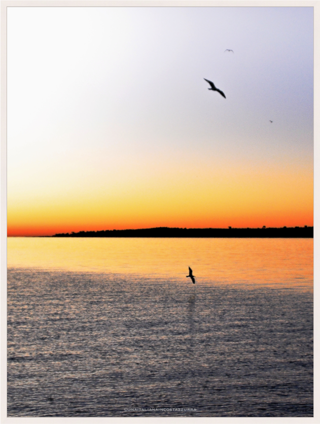 Main image Envolées imaginaires