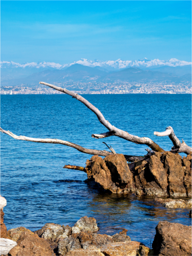 Main image Présence blanche