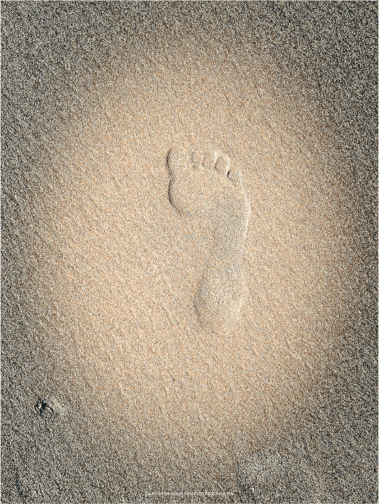 Main image Moment Déposé