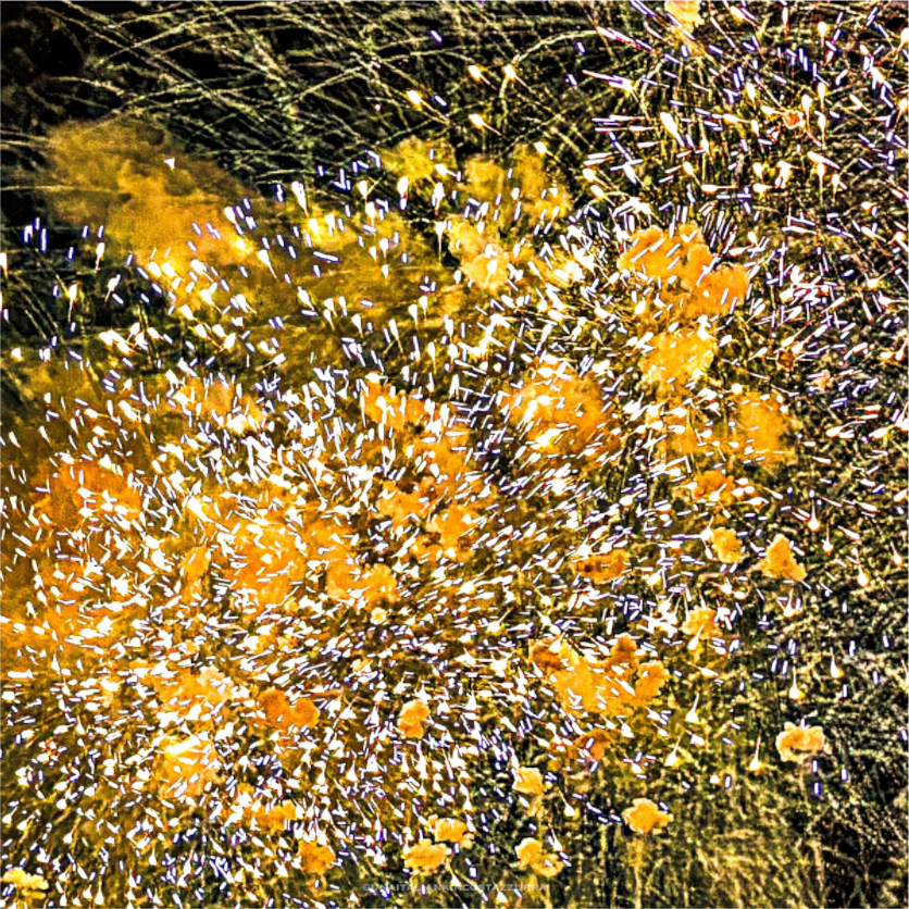 Main image Bouquet jaune