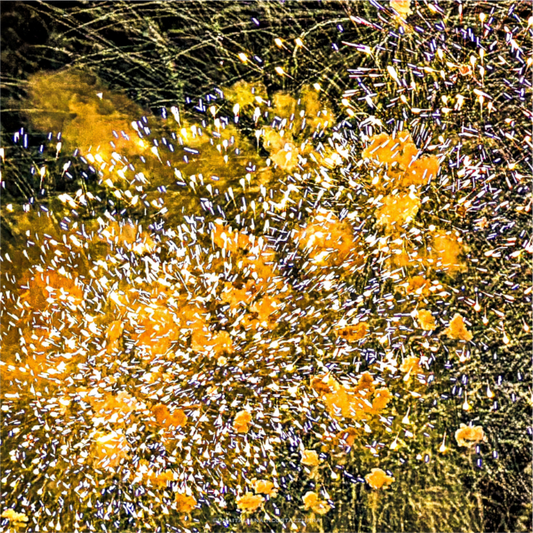 Main image Bouquet jaune