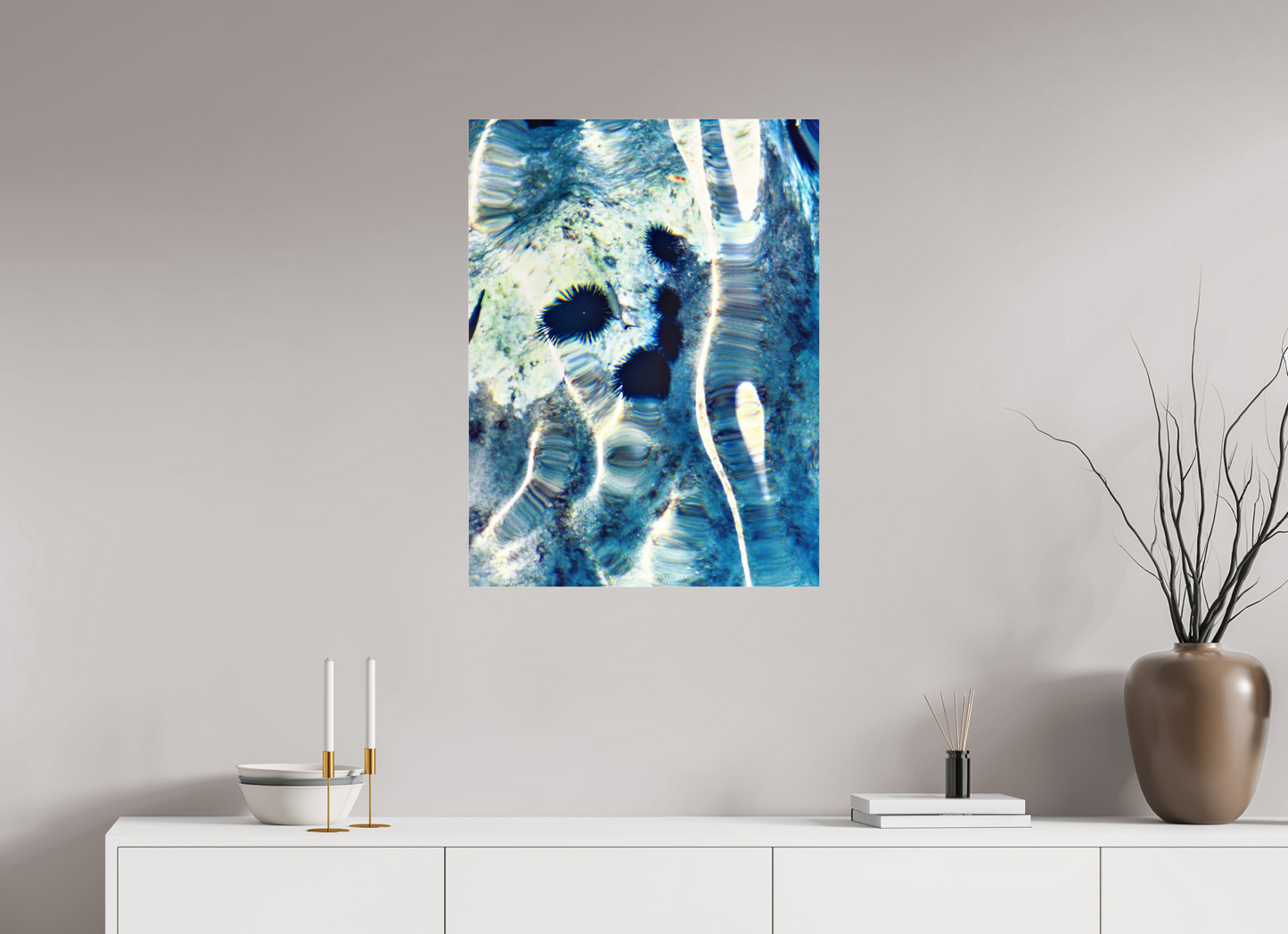 60 x 80 cm, Photo Print Under Acrylic Glass Oursins n.1