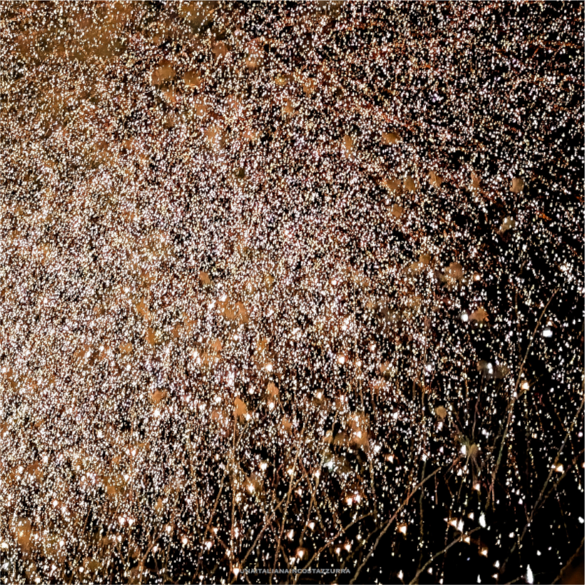 Main image MoonPollock