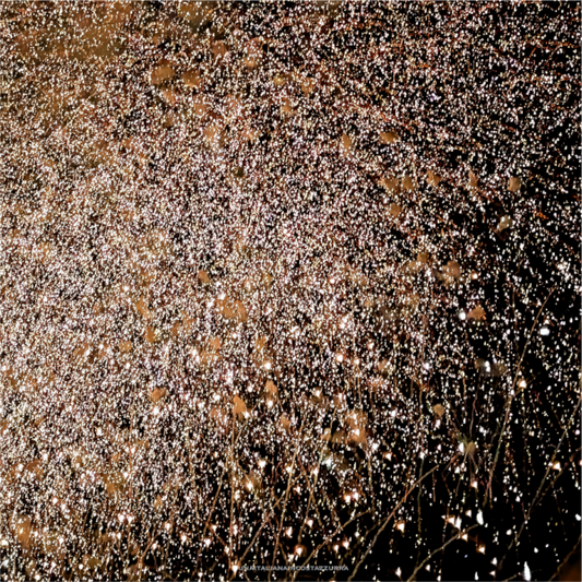 Main image MoonPollock