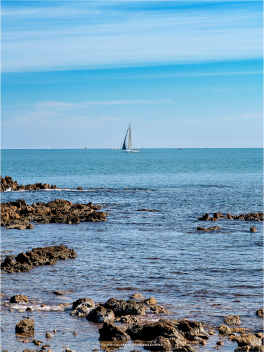 Main image Là où le vent décide