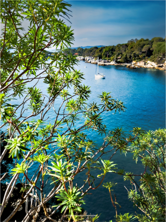 Main image À travers