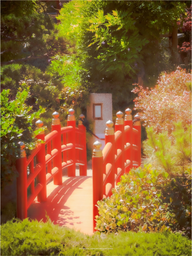 Main image Instant zen